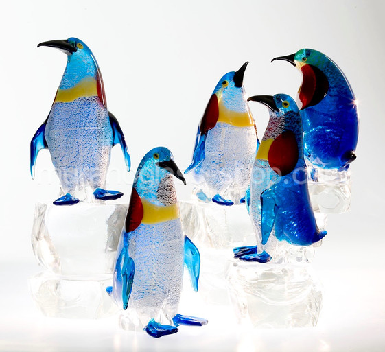 Penguin (composition), Gruppe von Pinguinen