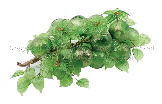 Geblasenes Traubenbündel mit Blumenniederlassung, Geblasene Trauben mit 16 Körnern