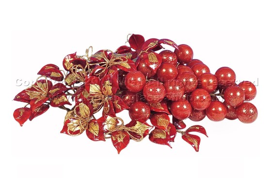 Geblasenes Traubenbündel mit blumigem Zweig, Bündeltraube mit geblasener Niederlassungsblume