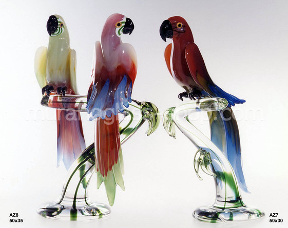 Papageien auf Ast, Parrot on branch