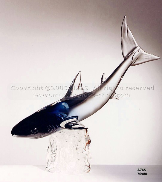 Shark, Shark