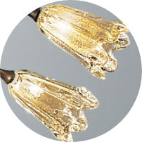 Cristallo mit Golddekor - (brünierte Serie)